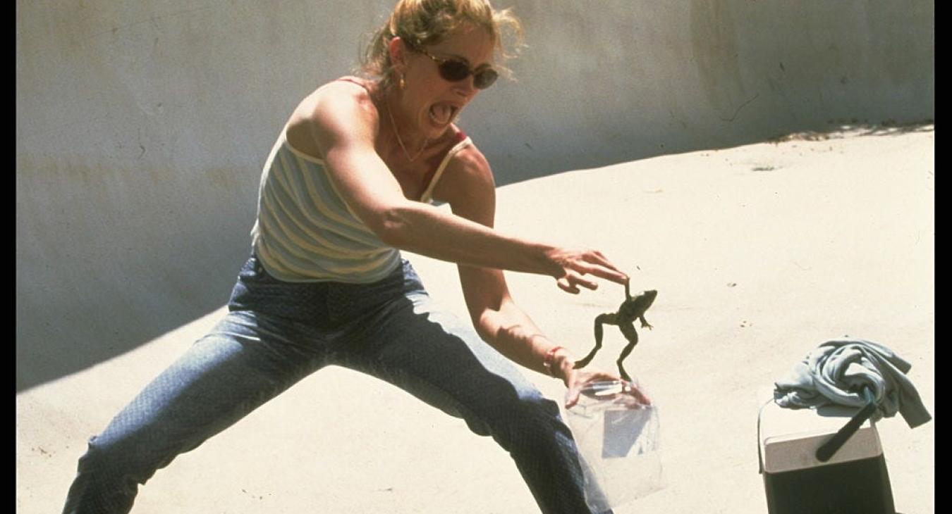 erin brockovich true story beat sheets for writers facing a true story