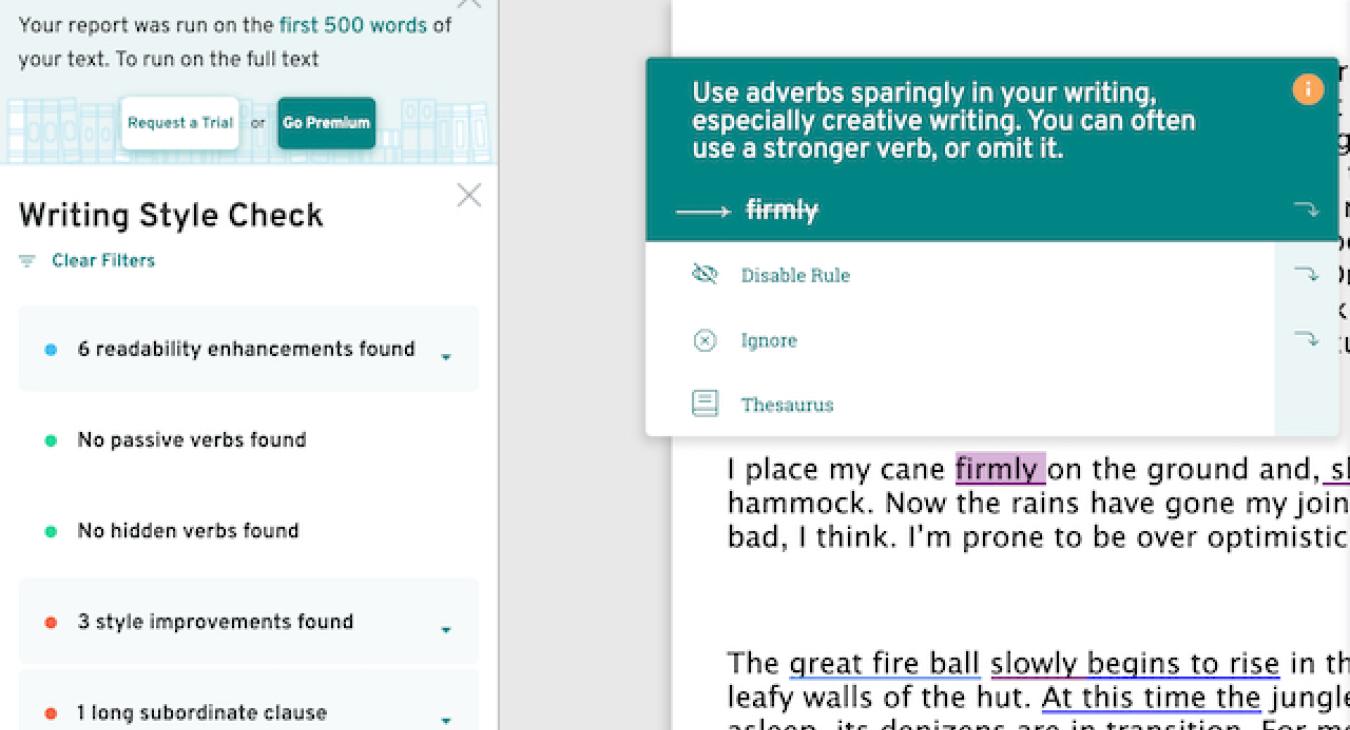 ProWritingAid ~ The Writing Tool That 'Really' Gets It